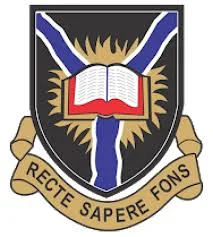 Peers Alley Media 12