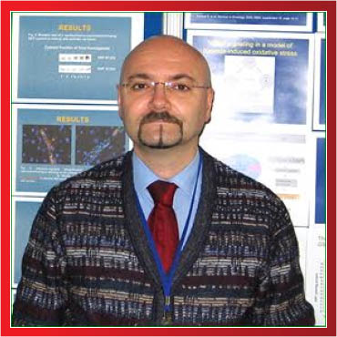 Peers Alley Media Giovanni Sansoe