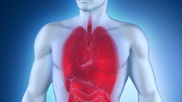 Automatic Lung Disease Classification From The Chest X-Ray Images Using Hybrid Deep Learning Algorithm