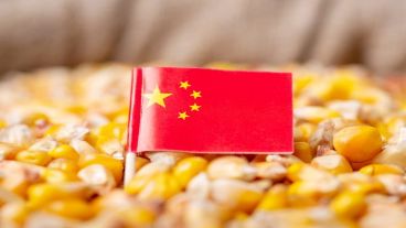 Food security and power struggle in China