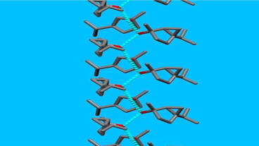 Production of natural E-R-4-thujanol, in a crystal helix structure
