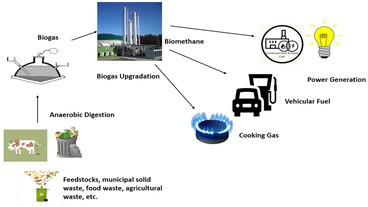 Using ANP Techniques to align public opinion with research needs in biofuel bioenergy