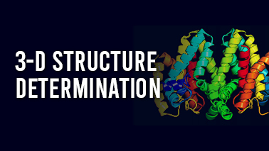Peers Alley Media: 3-D Structure Determination