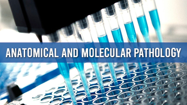 Peers Alley Media: Anatomical and Molecular pathology