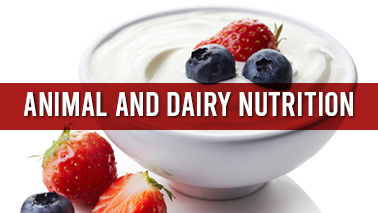 Peers Alley Media: Animal and Dairy Nutrition