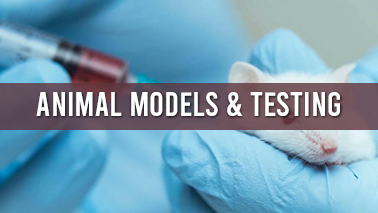 Peers Alley Media: Animal Models and Testing