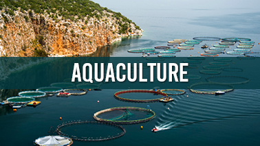 Peers Alley Media: Aquaculture