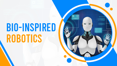 Peers Alley Media: Bio-inspired Robotics