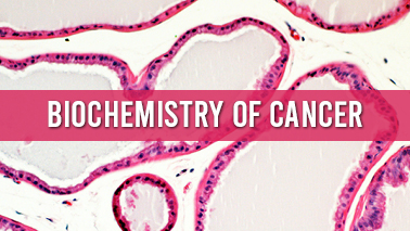 Peers Alley Media: Biochemistry of Cancer