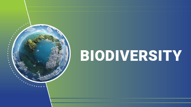 Peers Alley Media: Biodiversity