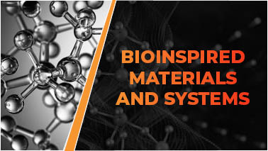 Peers Alley Media: Bioinspired Materials and Systems