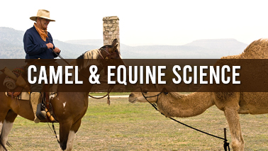 Peers Alley Media: Camel and Equine Science