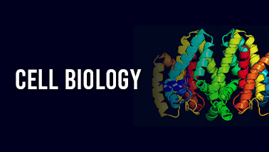 Peers Alley Media: Cell Biology