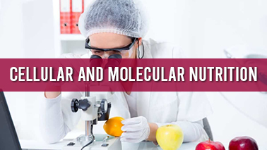 Peers Alley Media: Cellular and Molecular Nutrition