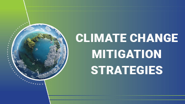 Peers Alley Media: Climate Change Mitigation Strategies