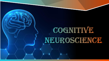 Peers Alley Media: Cognitive Neuroscience 