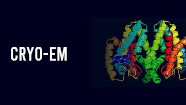Peers Alley Media: cryo-EM