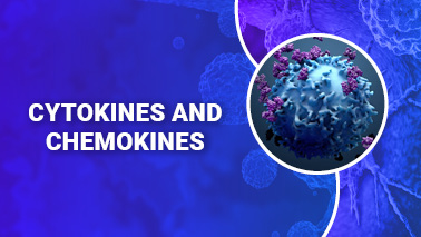Peers Alley Media: Cytokines and Chemokines