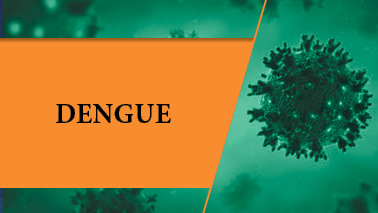 Peers Alley Media: Dengue