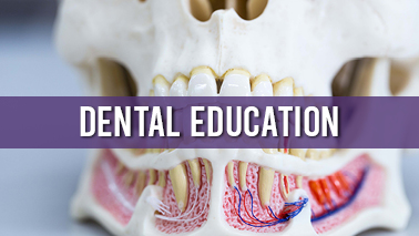 Peers Alley Media: Dental Education