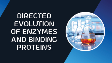 Peers Alley Media: Directed evolution of enzymes and binding proteins