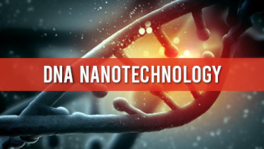 Peers Alley Media: DNA nanotechnology
