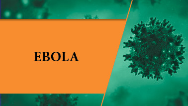 Peers Alley Media: Ebola