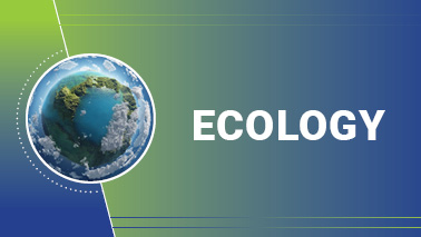 Peers Alley Media: Ecology