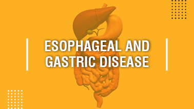 Peers Alley Media: Esophageal and Gastric Disease