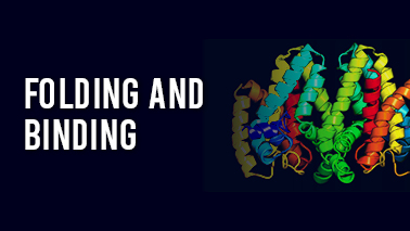 Peers Alley Media: Folding and Binding