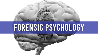 Peers Alley Media: Forensic Psychology