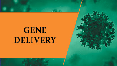 Peers Alley Media: Gene Delivery