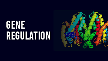 Peers Alley Media: Gene Regulation