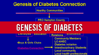 Peers Alley Media: Genesis of Diabetes