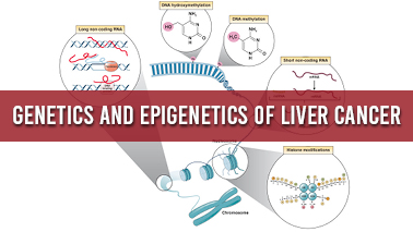 Peers Alley Media: Genetics and Epigenetics of Liver Cancer