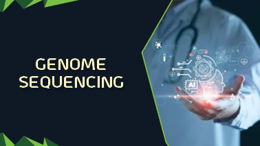 Peers Alley Media: Genome sequencing