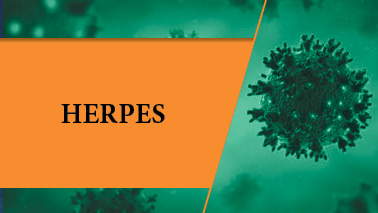 Peers Alley Media: Herpes