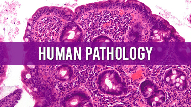 Peers Alley Media: Human Pathology