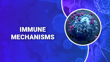 Peers Alley Media: Immune Mechanisms