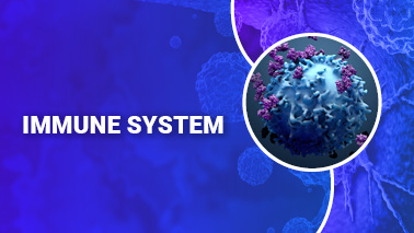 Peers Alley Media: Immune System