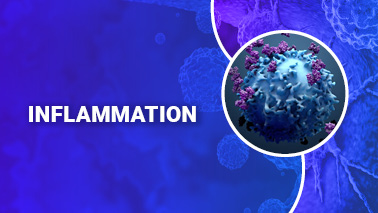 Peers Alley Media: Inflammation