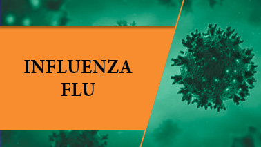 Peers Alley Media: Influenza Flu