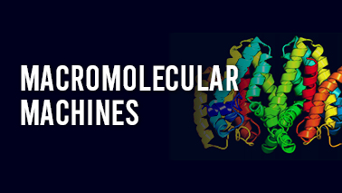Peers Alley Media: Macromolecular Machines