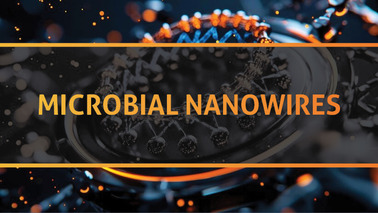 Peers Alley Media: Microbial Nanowires