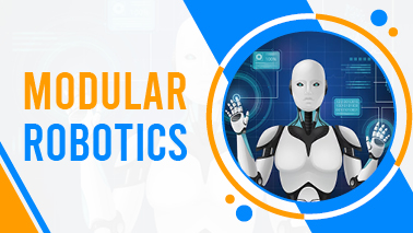 Peers Alley Media: Modular Robotics