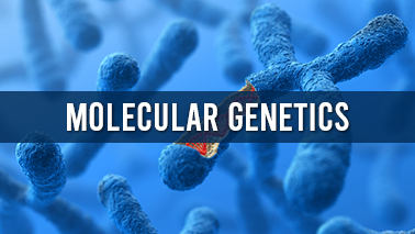 Peers Alley Media: Molecular Genetics