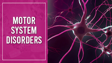 Peers Alley Media: Motor System Disorders