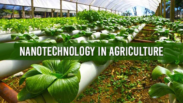 Peers Alley Media: Nanotechnology in Agriculture
