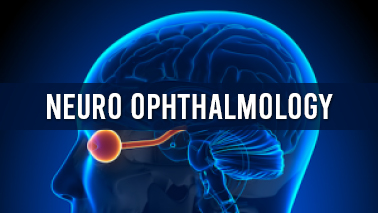 Peers Alley Media: Neuro Ophthalmology