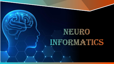 Peers Alley Media: Neuroinformatics